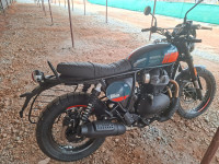 Petrol Green Royal Enfield Bear 650