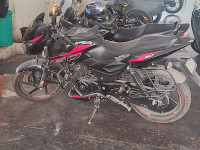 Bajaj Pulsar 150 NS 2025 Model