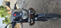 Bajaj Pulsar 125 Neon 2023 Model