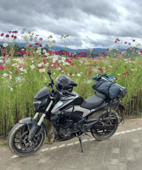 Black And Silver Bajaj Dominar 250