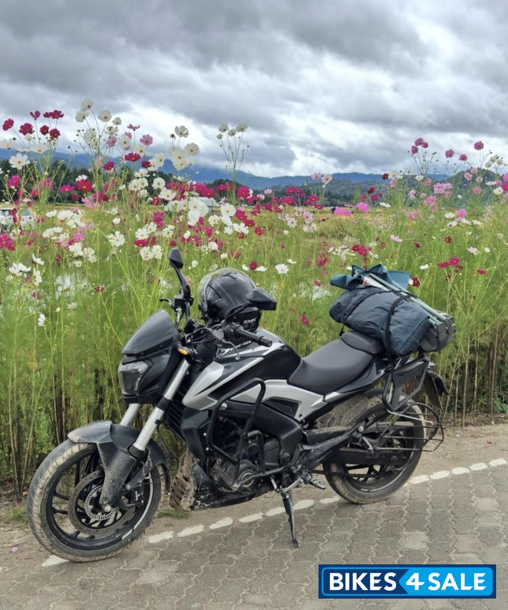 Black And Silver Bajaj Dominar 250