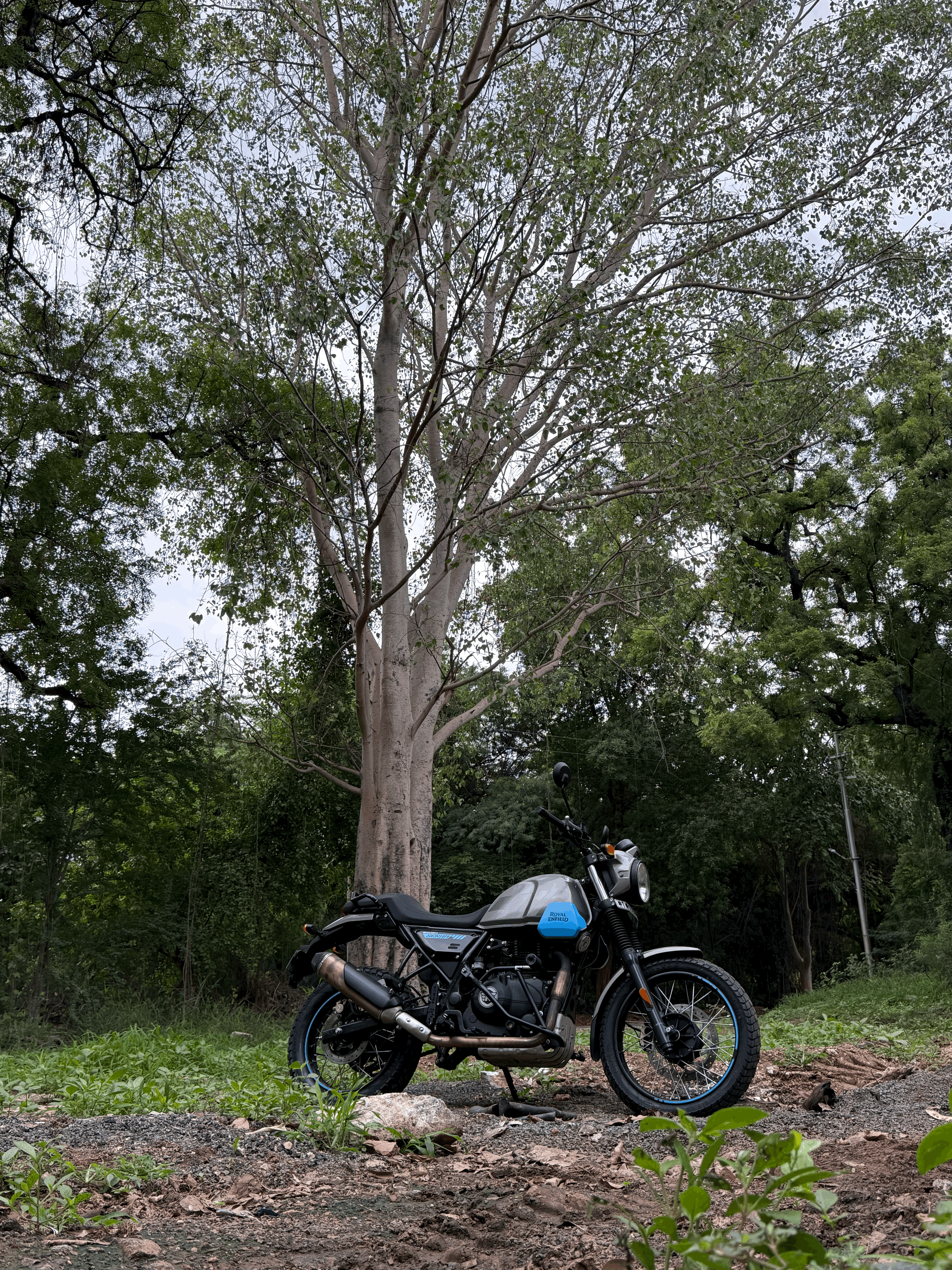 Royal Enfield Scram 411 Royal Enfield Scram 411