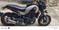 Grey Benelli Leoncino 500 BS6