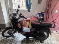 Purple TVS XL 100 Heavy Duty