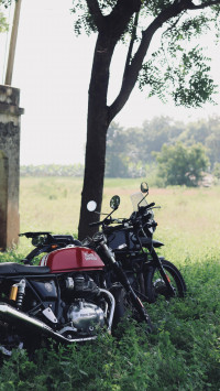 Royal Enfield Continental GT 650 2025 Model
