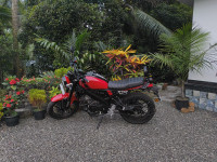 Yamaha XSR155 2026 Model