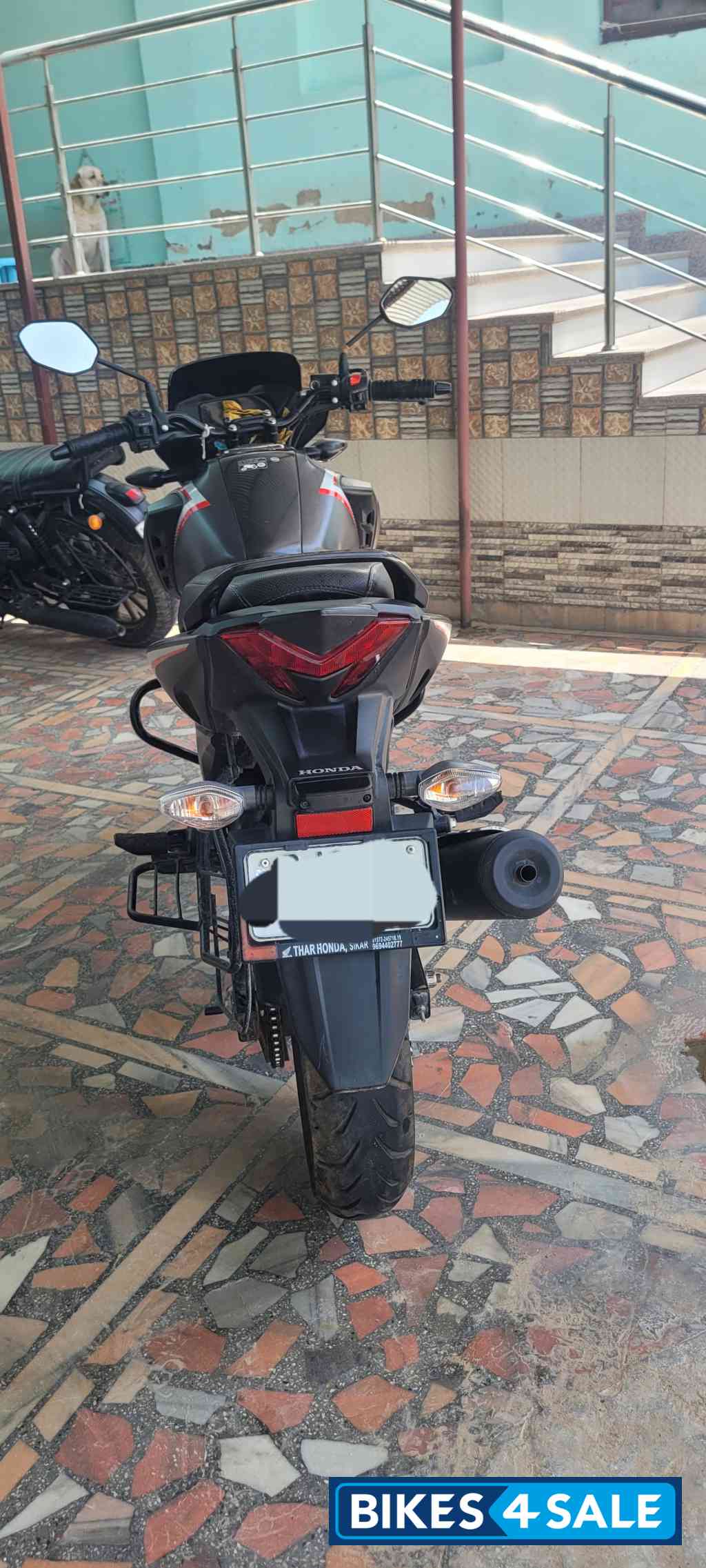 Matt Grey Honda SP160 Single Disc