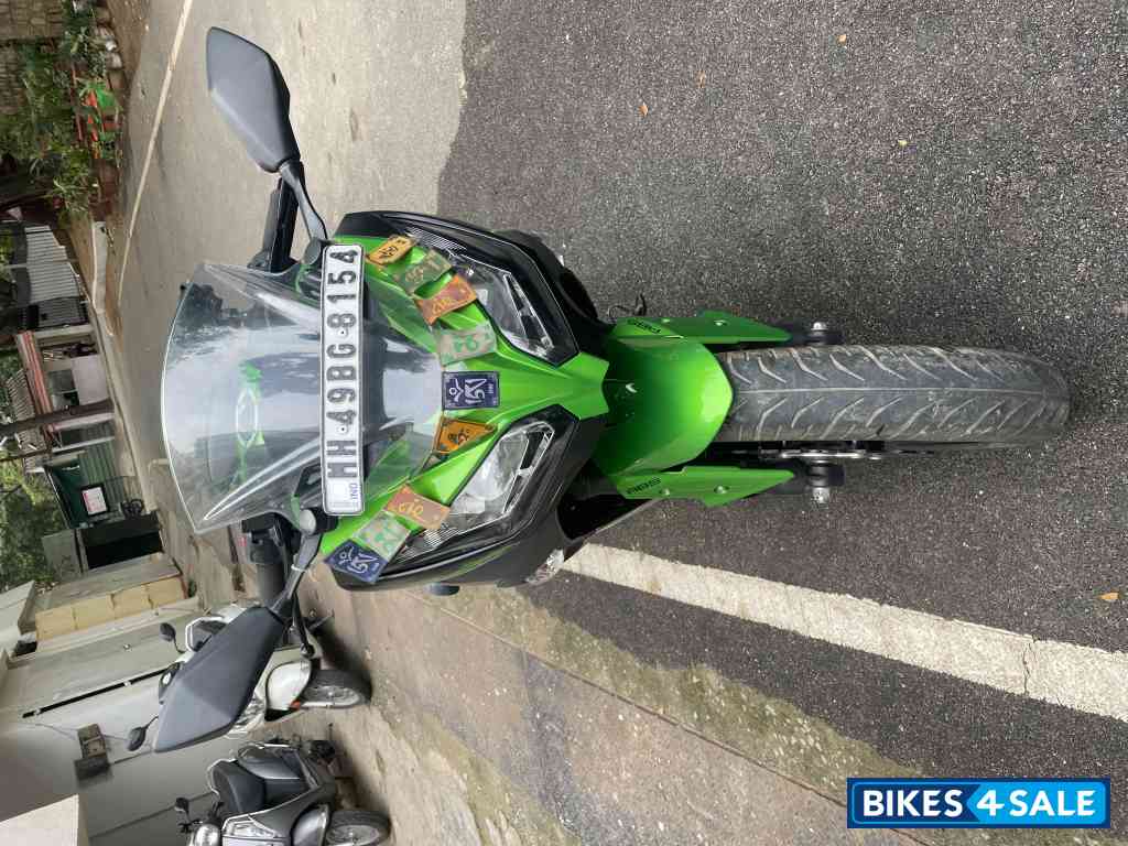 Green Kawasaki Ninja 300 BS6
