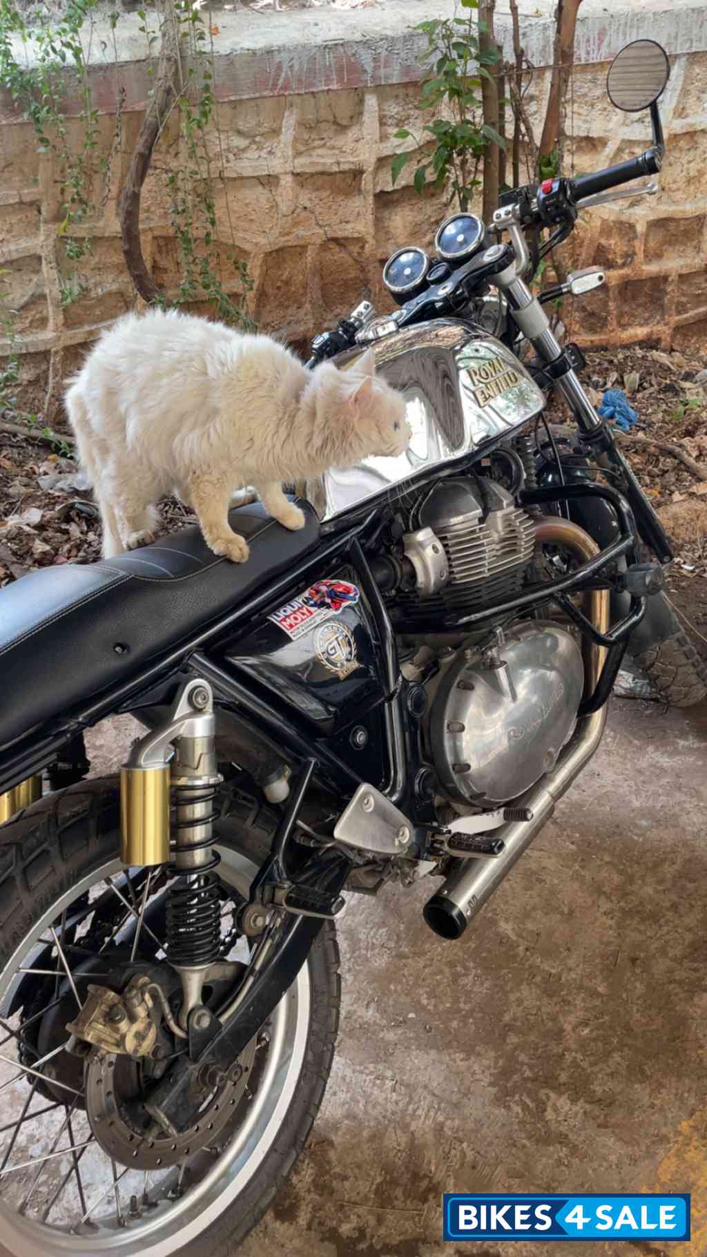Royal Enfield Continental GT 650 Royal Enfield Continental GT 650