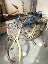 BSA Lady bird