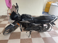Honda Shine 100 2024 Model