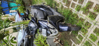 Honda Dio 125 2024 Model