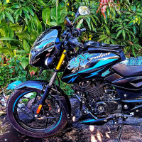 Bajaj Pulsar 125 Carbon Fibre Disc Split Seat 2024 Model