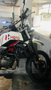 Parel White And Red Hero Xpulse 200 4V Rally Edition