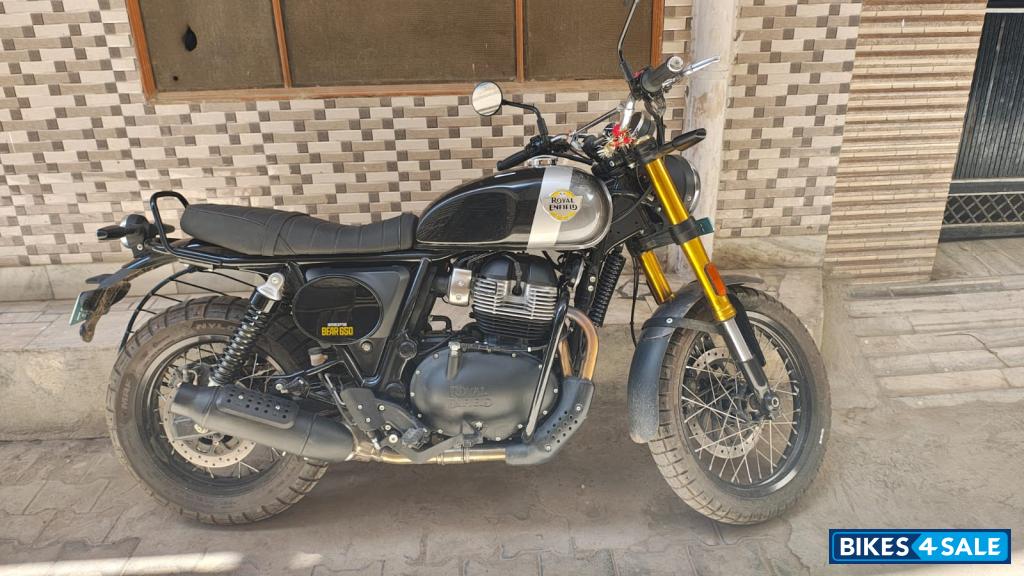 Golden Shadow Royal Enfield Bear 650