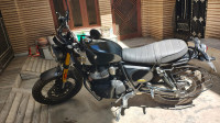 Golden Shadow Royal Enfield Bear 650