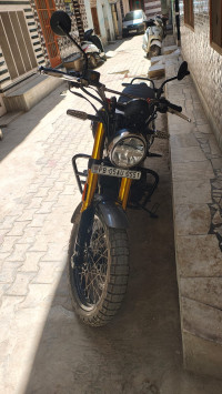 Golden Shadow Royal Enfield Bear 650