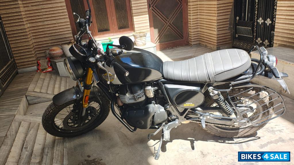 Golden Shadow Royal Enfield Bear 650 Golden Shadow Royal Enfield Bear 650
