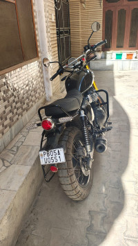 Golden Shadow Royal Enfield Bear 650