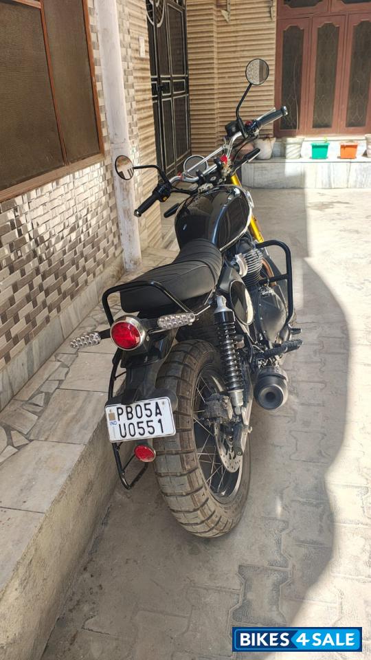 Golden Shadow Royal Enfield Bear 650 Golden Shadow Royal Enfield Bear 650