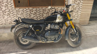 Golden Shadow Royal Enfield Bear 650