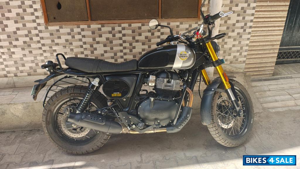 Golden Shadow Royal Enfield Bear 650 Golden Shadow Royal Enfield Bear 650