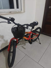 Bicycle Firefox 2023 Model
