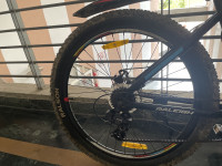 Bicycle Raleigh