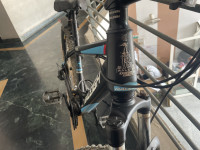 Bicycle Raleigh