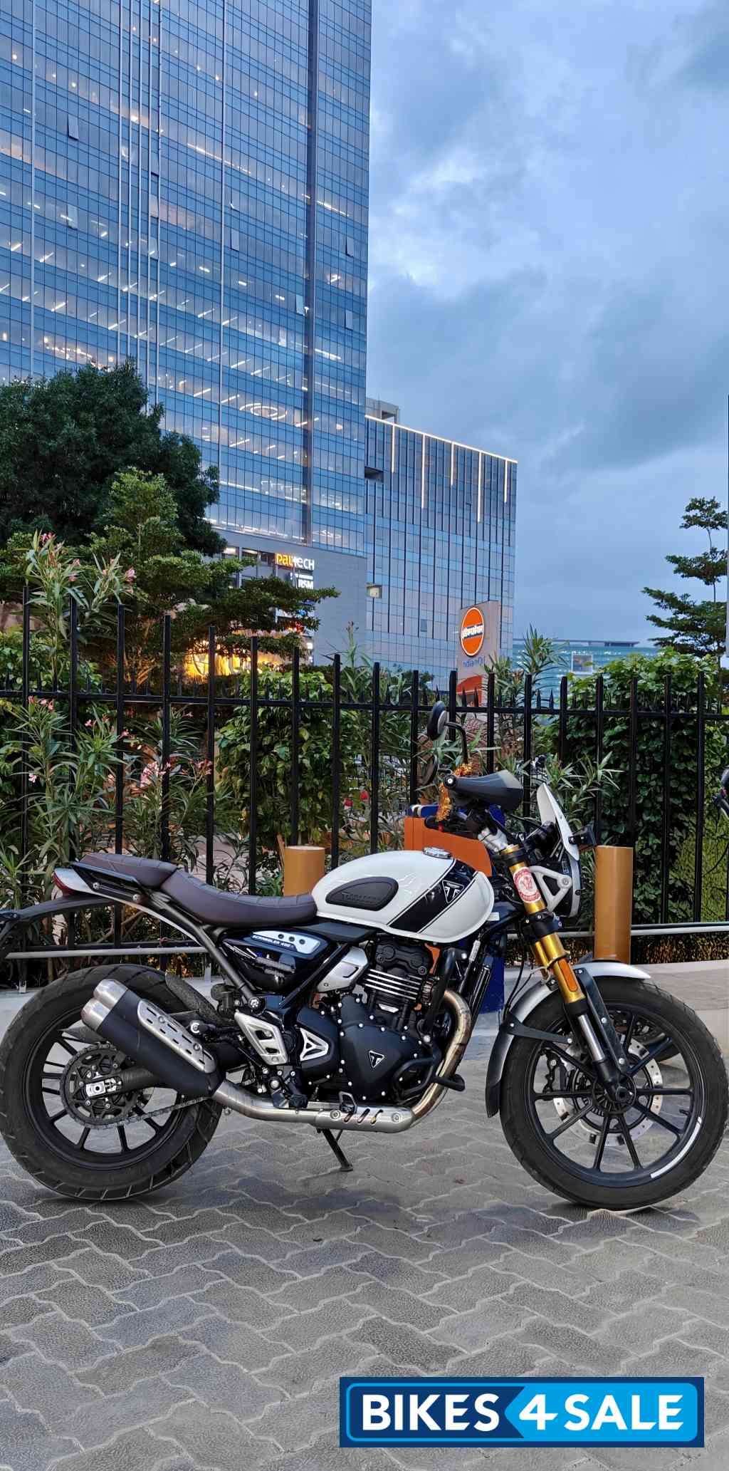 Triumph Scrambler 400 X