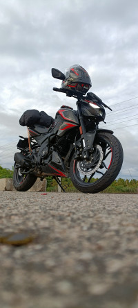 Bajaj Pulsar N250 2024 2024 Model