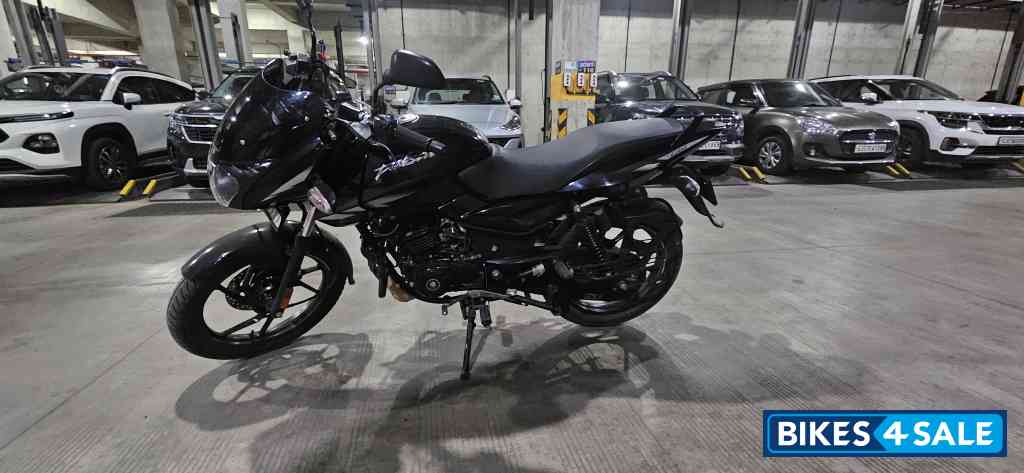 Black & Grey Bajaj Pulsar 125 Neon Disc Single Seat