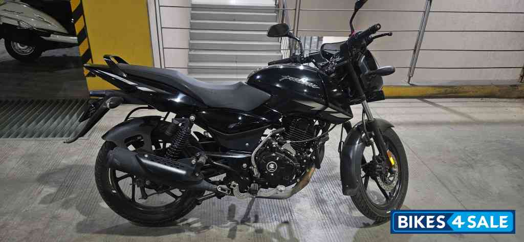 Black & Grey Bajaj Pulsar 125 Neon Disc Single Seat