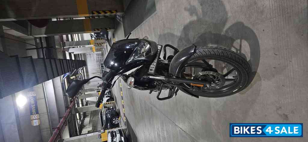 Black & Grey Bajaj Pulsar 125 Neon Disc Single Seat