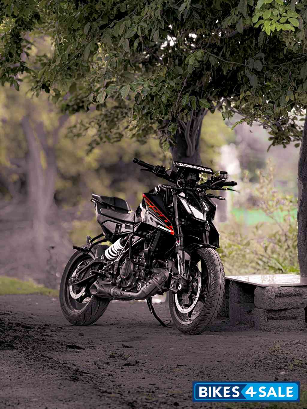 KTM Duke 250 2024