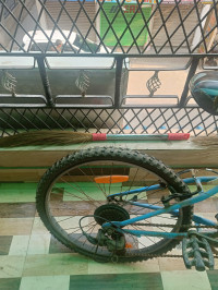 Bicycle Kross