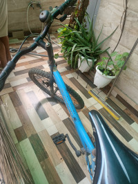 Bicycle Kross