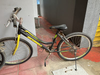 Bicycle Schnell 2017 Model