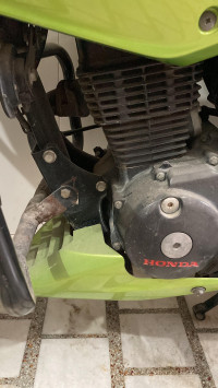 C Palm Green Honda CBF Stunner