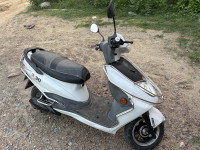 White Okinawa R30