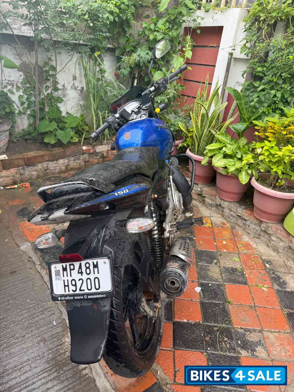 Blue Bajaj Pulsar 150