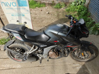 Grey Bajaj Pulsar N250