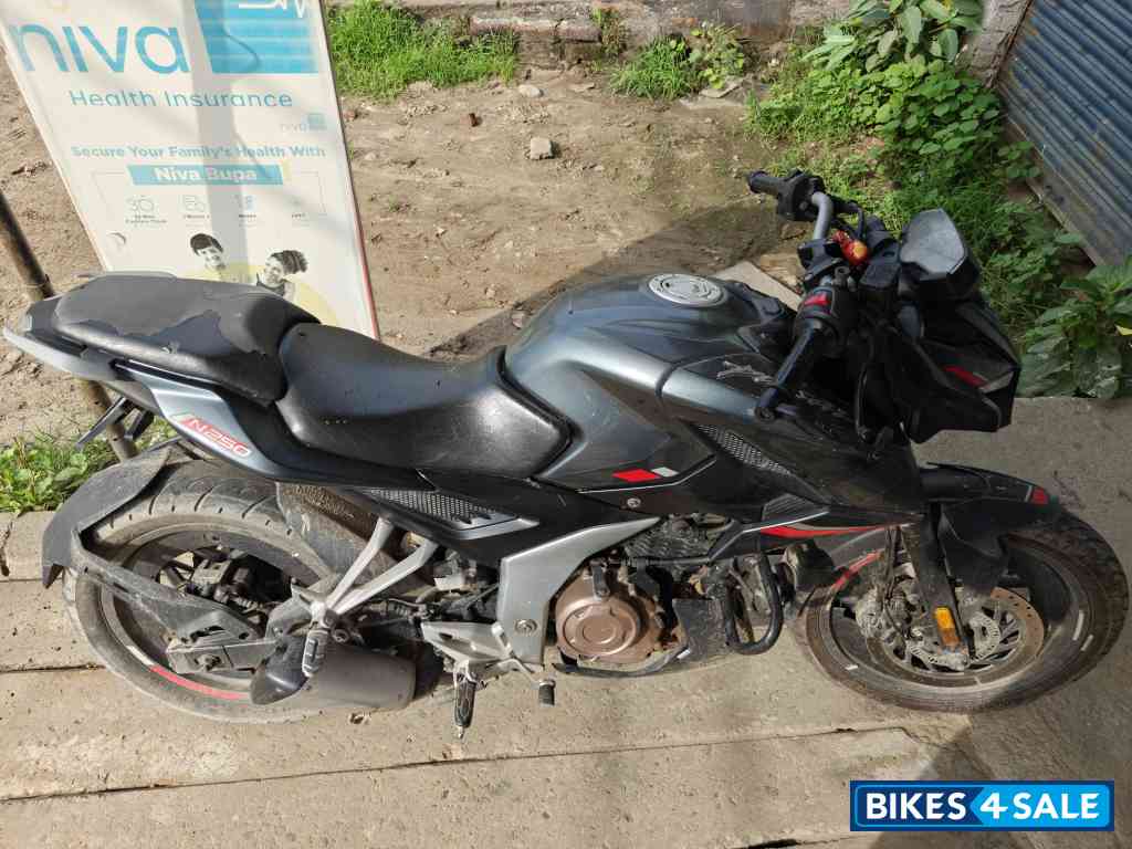 Grey Bajaj Pulsar N250 Grey Bajaj Pulsar N250
