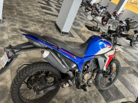 Hero XPulse 210 2025 Model