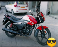 Hero Passion Pro BS6 2020 Model