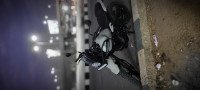 Royal Enfield Himalayan 450 2024 Model