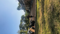 Kamet White Royal Enfield Himalayan 450