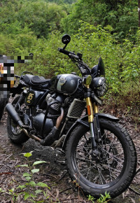Golden Shadow Royal Enfield Bear 650