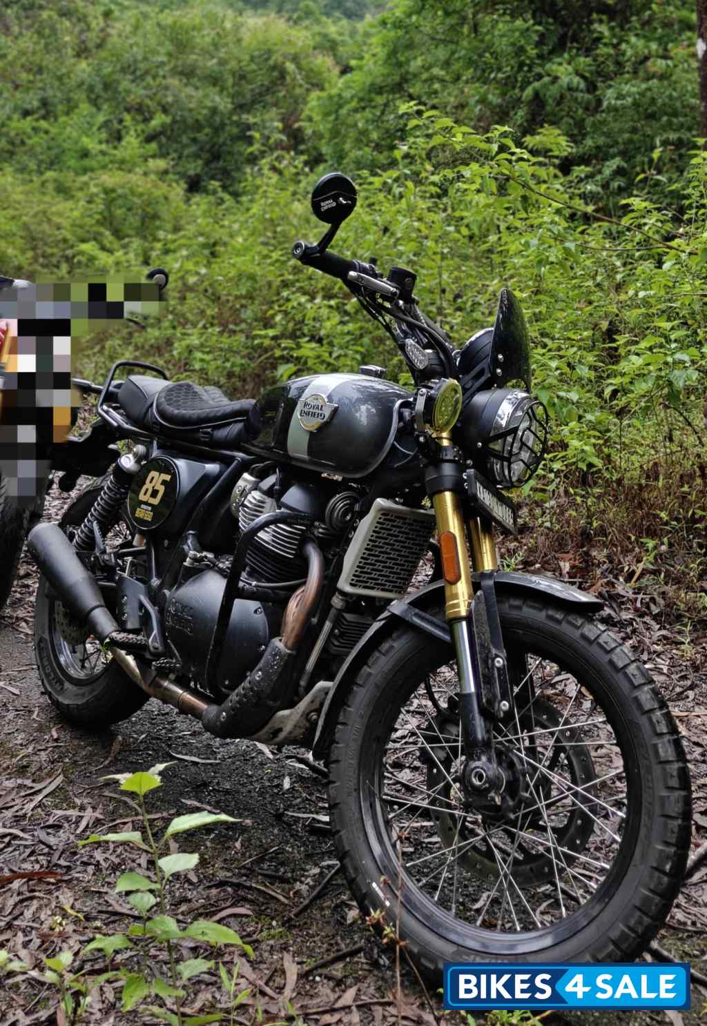 Golden Shadow Royal Enfield Bear 650 Golden Shadow Royal Enfield Bear 650
