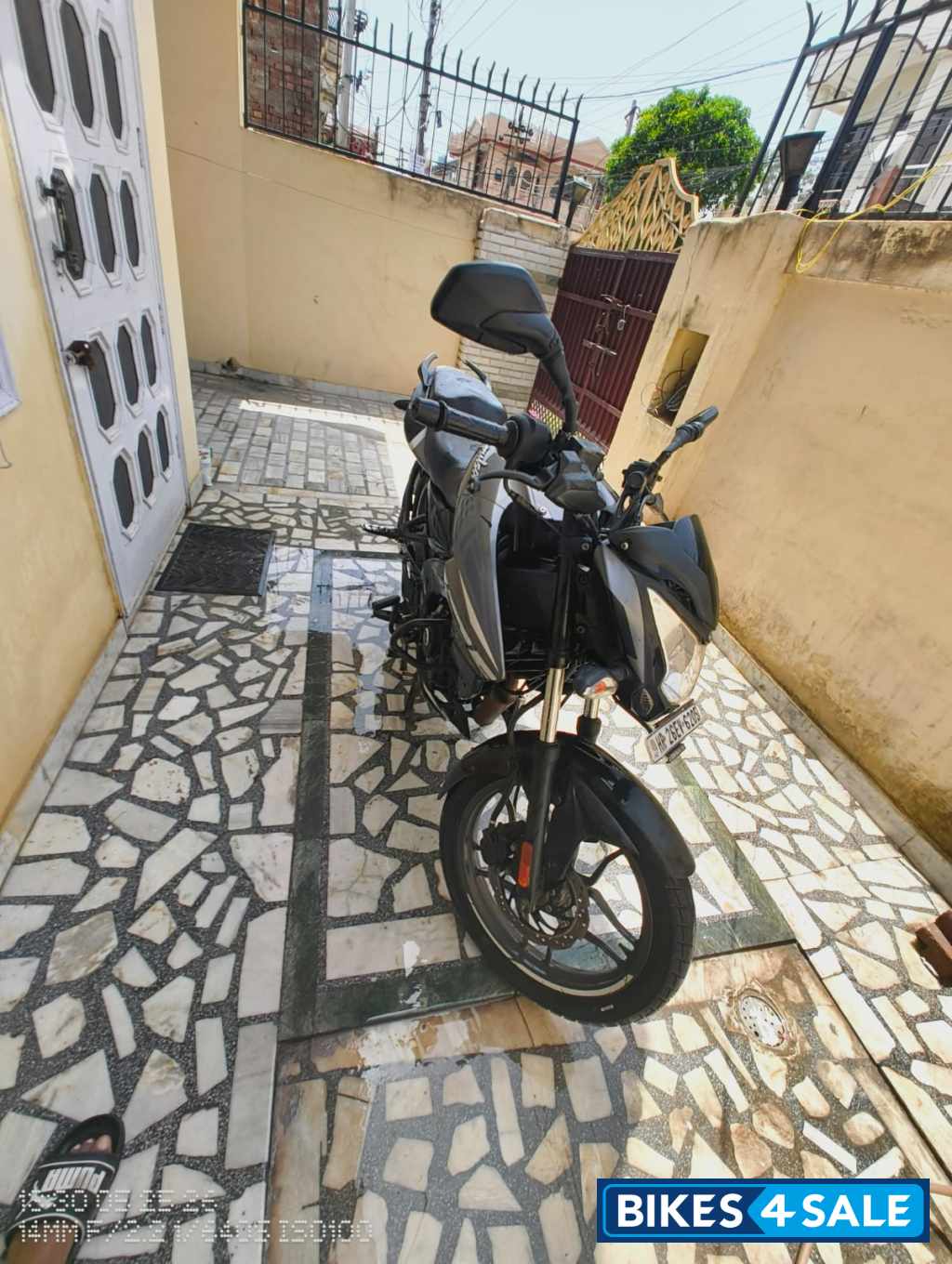 Gloss Pewter Grey Bajaj Pulsar NS 125